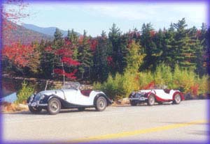 Morgans in New Hampshire 