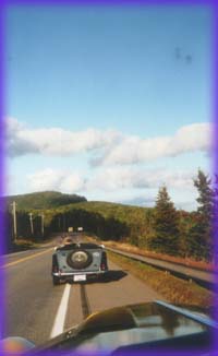 Morgan near Baddeck NS (photo E. Fisher)