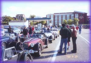 18 Morgans lined of the the Cat Ferry. Yarmouth NS (photo E. Houle) 